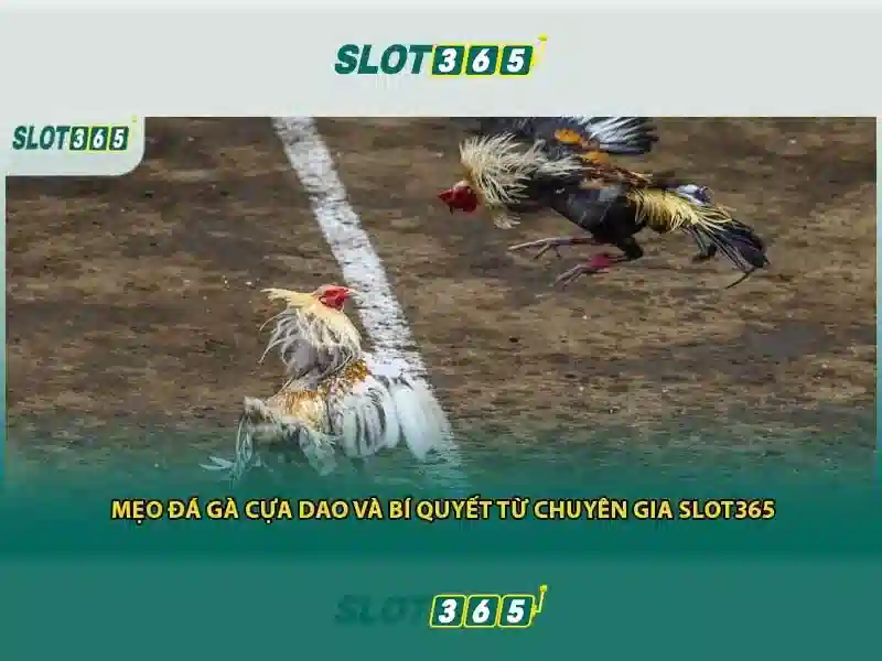 gioi-thieu-slot365-image