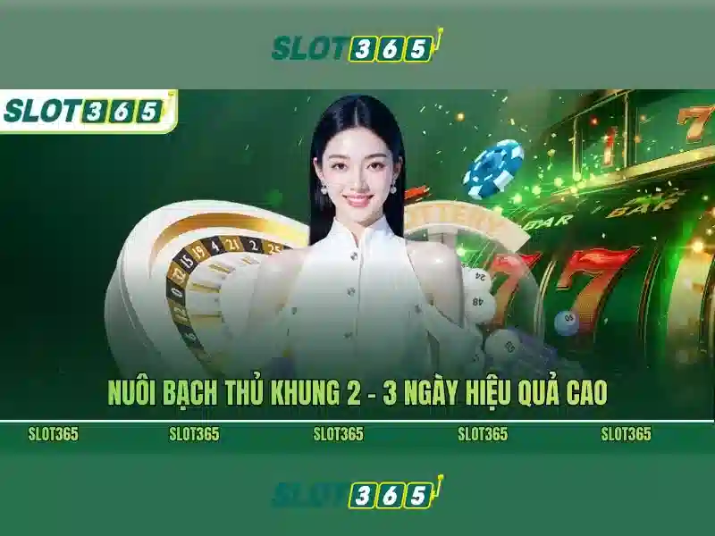 giai-thich-slot365-toi-u-nguoi-choi