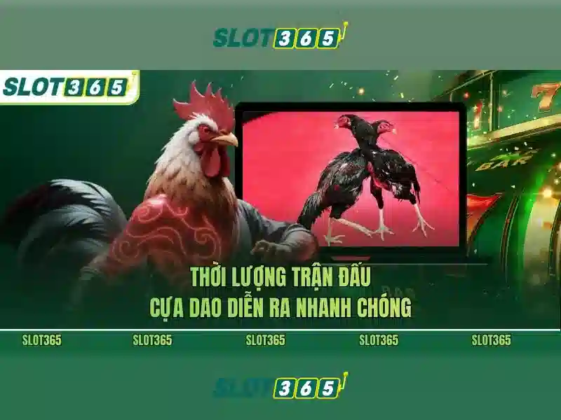 slot365 ios - nguồn gốc và sứ mệnh